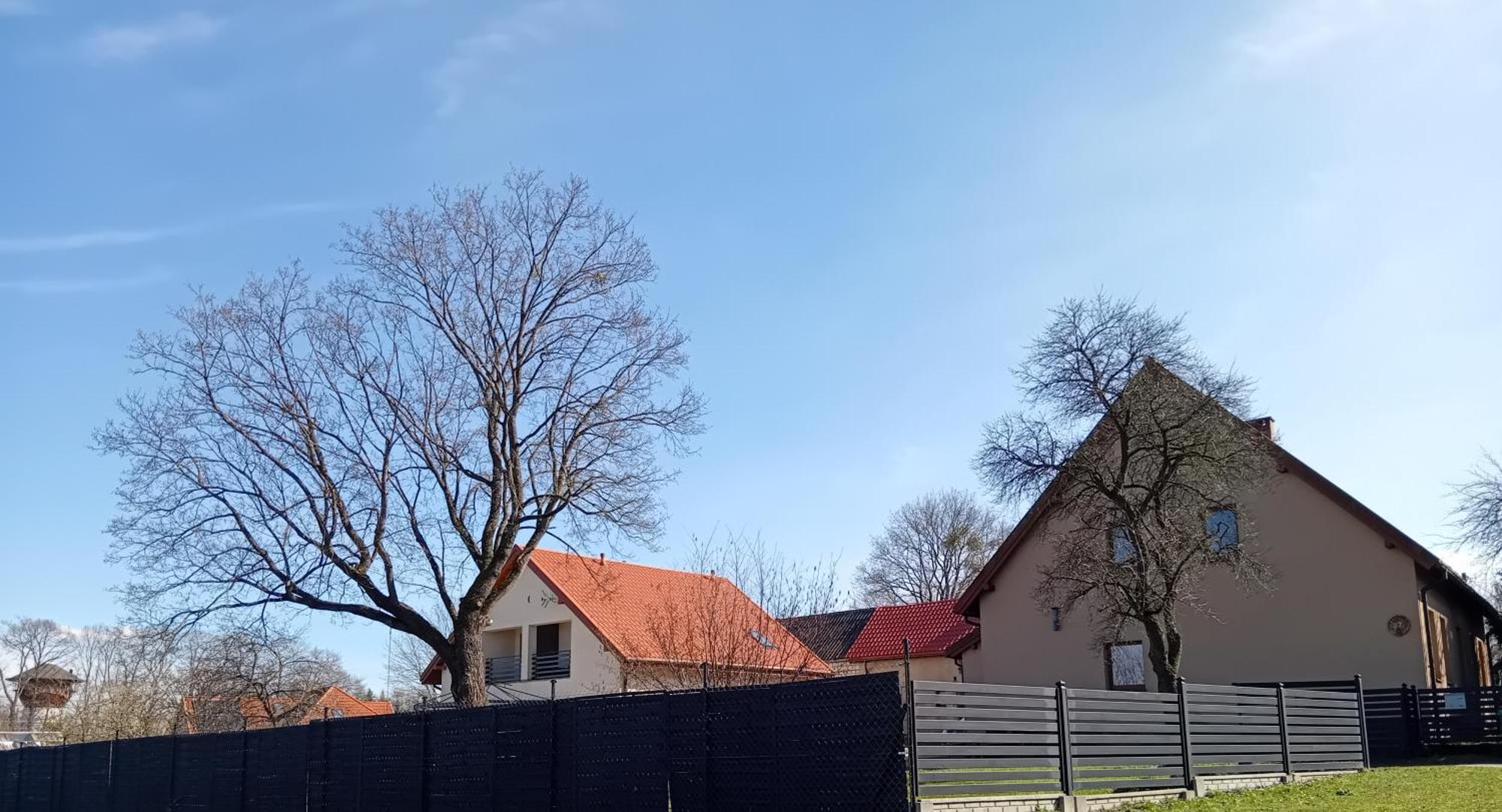 Pokoje Goscinne Sloneczny Klon Dabrowno Экстерьер фото